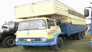 Vintage Bedford TK Truck with Stock Crate