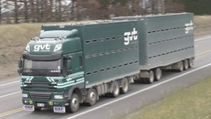 63 DAF Trucks on the Road around New Zealand's South Island